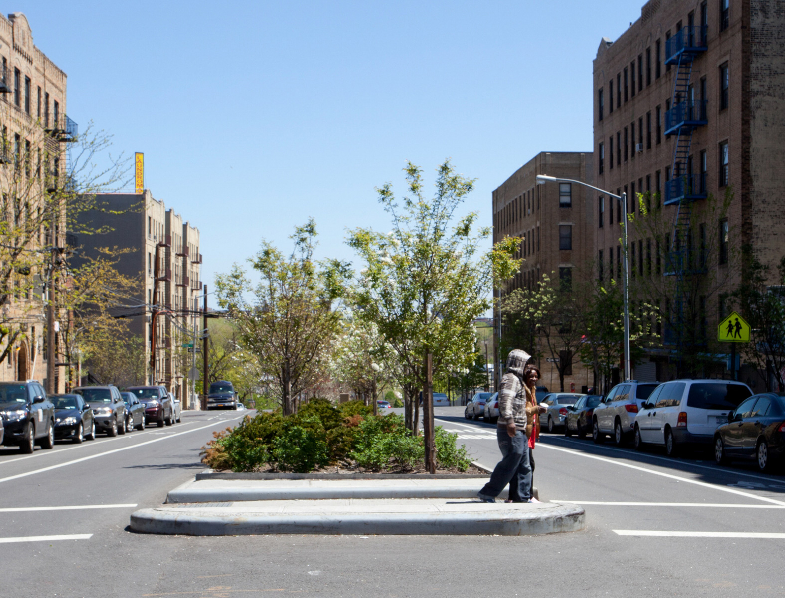 Lafayette Avenue Streetscape Elizabeth Felicella Photography