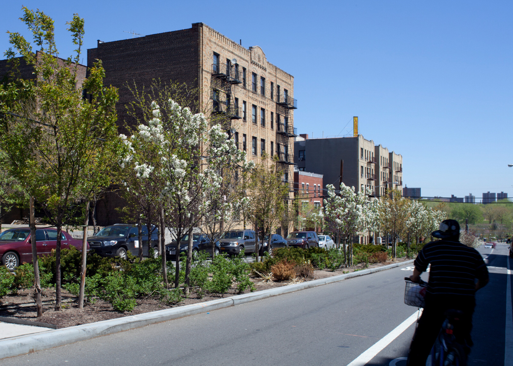 Lafayette Avenue Streetscape Elizabeth Felicella Photography